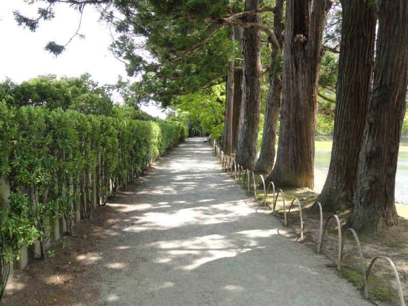 img0089.jpg
