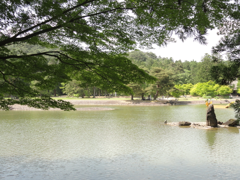 img0103.jpg