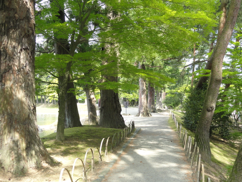 img0104.jpg