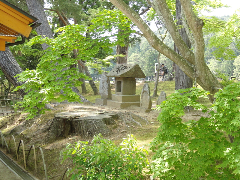 img0105.jpg