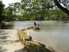 img0005.jpg