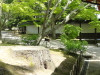 img0007.jpg