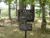 img0014.jpg