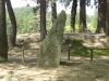 img0015.jpg