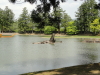img0024.jpg