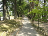 img0026.jpg