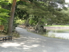 img0028.jpg