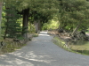 img0029.jpg