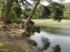 img0031.jpg