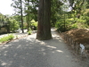 img0033.jpg