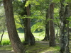 img0041.jpg
