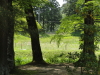 img0042.jpg