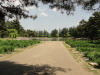 img0045.jpg