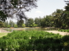 img0046.jpg