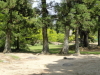 img0056.jpg