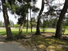 img0058.jpg