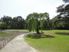 img0063.jpg