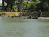 img0067.jpg