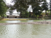img0068.jpg