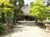 img0074.jpg