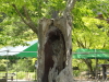 img0083.jpg
