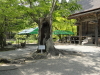 img0084.jpg