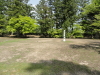 img0086.jpg