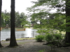 img0087.jpg