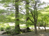 img0088.jpg