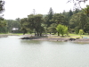 img0090.jpg