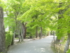 img0091.jpg