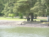 img0095.jpg