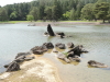 img0098.jpg