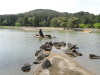 img0100.jpg