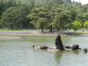 img0101.jpg