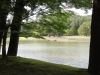 img0102.jpg