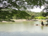 img0103.jpg