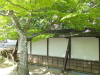 img0106.jpg