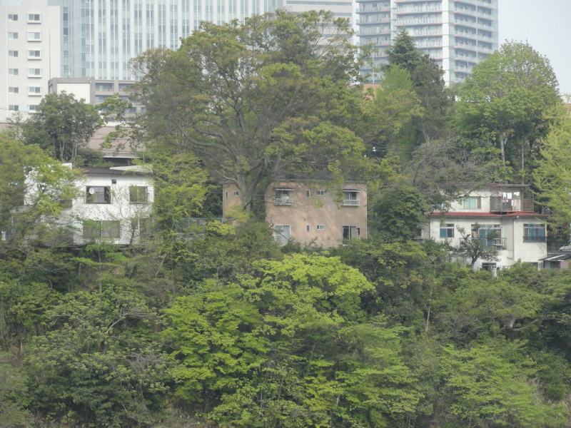 img0006.jpg