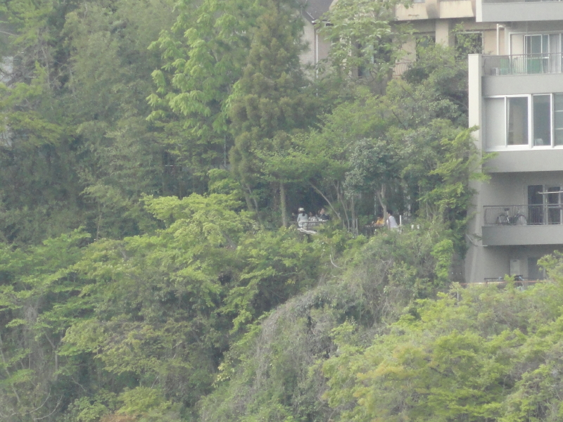 img0011.jpg
