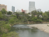 img0005.jpg