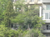 img0007.jpg