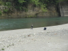img0008.jpg