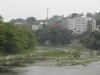 img0009.jpg