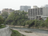 img0010.jpg