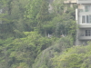 img0011.jpg