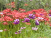 img0003.jpg
