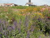 img0012.jpg