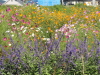 img0014.jpg