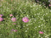 img0019.jpg